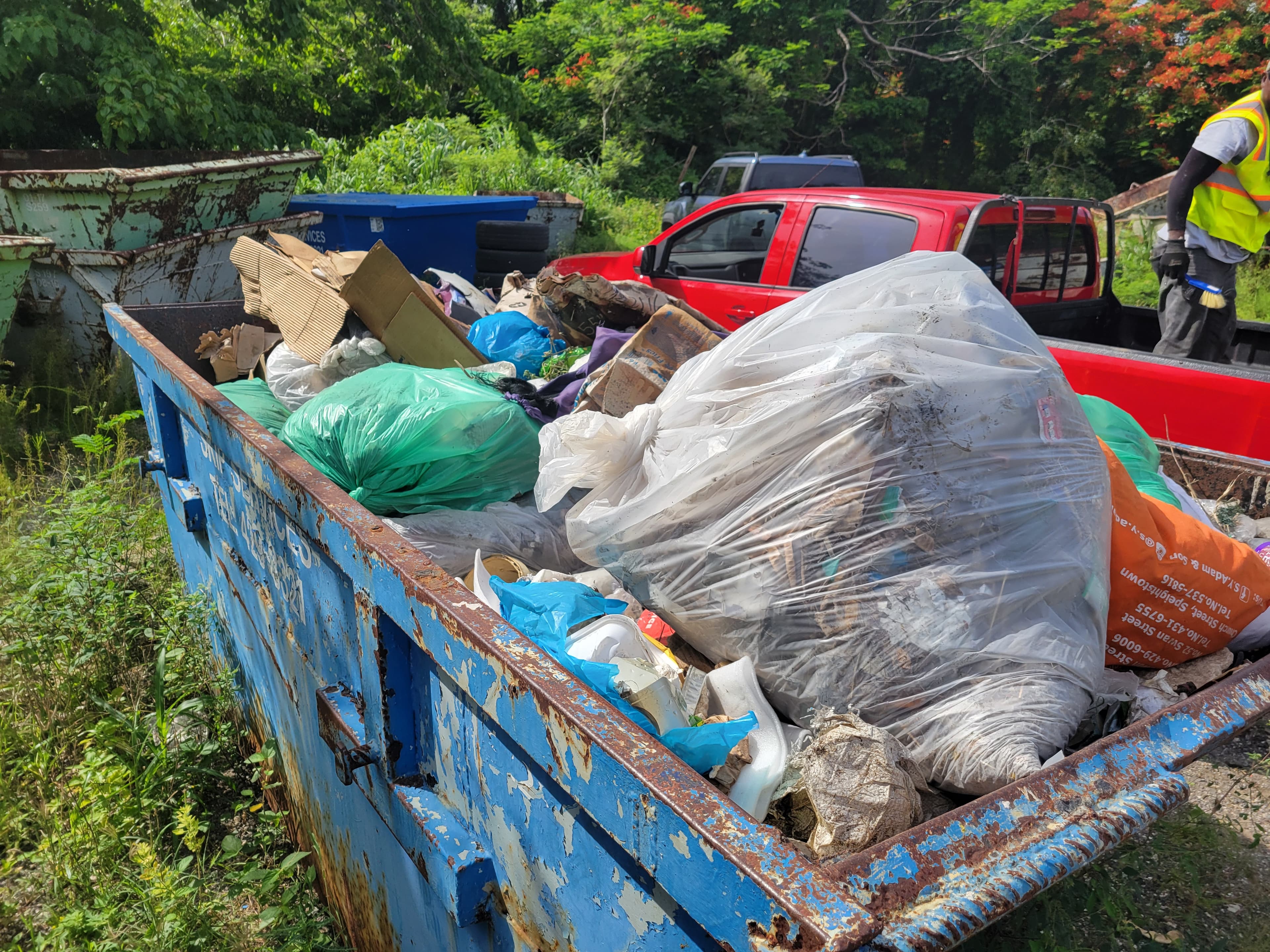 Record Breaking Cleanup: 24 Bags in a Single Day